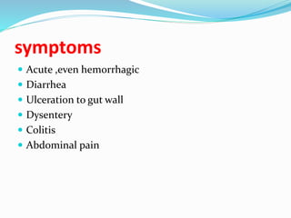 symptoms
 Acute ,even hemorrhagic
 Diarrhea
 Ulceration to gut wall
 Dysentery
 Colitis
 Abdominal pain
 