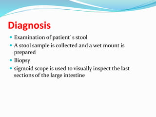 Diagnosis
 Examination of patient`s stool
 A stool sample is collected and a wet mount is
prepared
 Biopsy
 sigmoid scope is used to visually inspect the last
sections of the large intestine
 