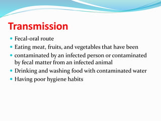 Transmission
 Fecal-oral route
 Eating meat, fruits, and vegetables that have been
 contaminated by an infected person or contaminated
by fecal matter from an infected animal
 Drinking and washing food with contaminated water
 Having poor hygiene habits
 