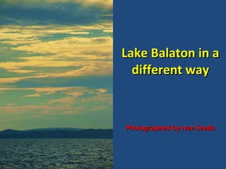 Lake Balaton in a different way Photographed by Ivan Szedo 