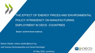 THE EFFECT OF ENERGY PRICES AND ENVIRONMENTAL
POLICY STRINGENCY ON MANUFACTURING
EMPLOYMENT IN OECD COUNTRIES
24 May 2022, workshop
Sector- and firm-level evidence
Balazs Stadler, balazs.stadler@oecd.org
with Antoine Dechezleprêtre and Daniel Nachtigall
 