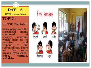 DAY – 6
DATE :- 01/10/2020
TOPIC :-
SENSE ORGANS
Sense organs are the
specialized organs
composed of
sensory neurons,
which help us to
perceive and
respond to our
surroundings. There
are five sense
organs eyes, ears,
nose, tongue,
and skin.
 