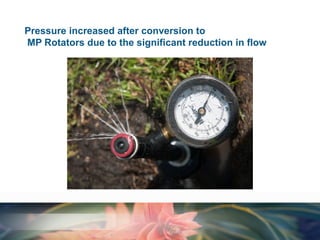 Pressure increased after conversion to
MP Rotators due to the significant reduction in flow

 