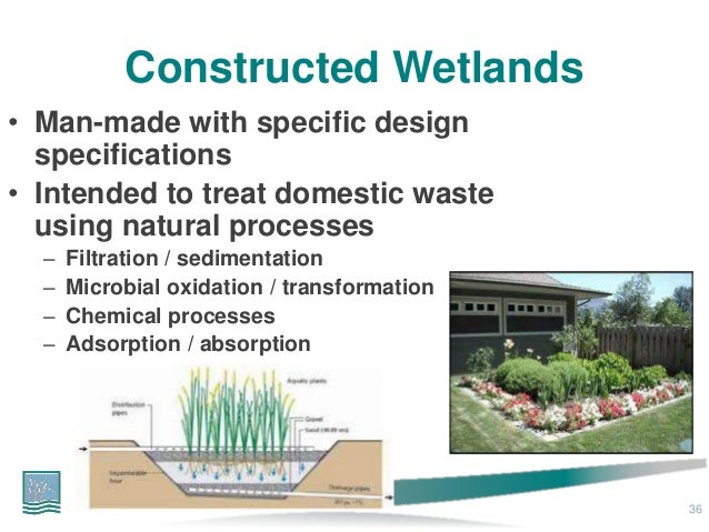 Natural Wetlands Wastewater Treatment Natural Wetlands Wastewater Treatment