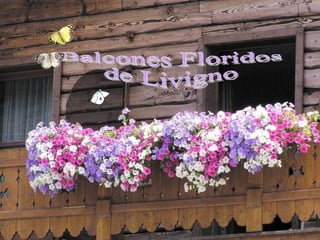 Livigno Un pueblo, en el corazón de los Alpes, en la Lombardía, Italia Balcones Floridos de Livigno 