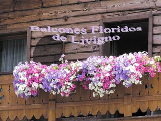Livigno Un pueblo, en el corazón de los Alpes, en la Lombardía, Italia Balcones Floridos de Livigno 