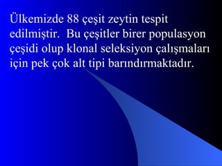 Ülkemizde 88 çeşit zeytin tespit edilmiştir.  Bu çeşitler birer populasyon çeşidi olup klonal seleksiyon çalışmaları için pek çok alt tipi barındırmaktadır. 