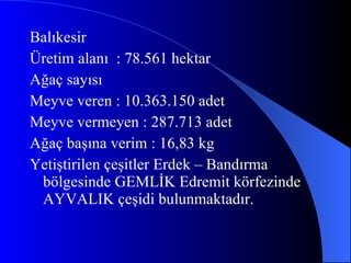Balıkesir Üretim alanı  : 78.561 hektar Ağaç sayısı Meyve veren : 10.363.150 adet Meyve vermeyen : 287.713 adet Ağaç başına verim : 16,83 kg Yetiştirilen çeşitler Erdek – Bandırma bölgesinde GEMLİK Edremit körfezinde AYVALIK çeşidi bulunmaktadır. 