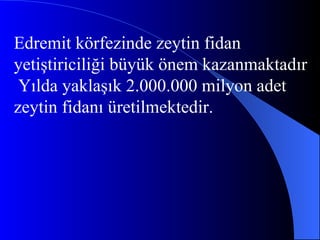 Edremit körfezinde zeytin fidan  yetiştiriciliği büyük önem kazanmaktadır Yılda yaklaşık 2.000.000 milyon adet zeytin fidanı üretilmektedir. 