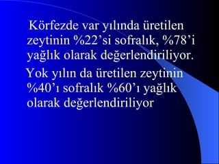 Körfezde var yılında üretilen zeytinin %22’si sofralık, %78’i yağlık olarak değerlendiriliyor. Yok yılın da üretilen zeytinin %40’ı sofralık %60’ı yağlık olarak değerlendiriliyor 