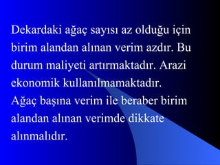 Dekardaki ağaç sayısı az olduğu için birim alandan alınan verim azdır. Bu  durum maliyeti artırmaktadır. Arazi  ekonomik kullanılmamaktadır. Ağaç başına verim ile beraber birim  alandan alınan verimde dikkate  alınmalıdır. 