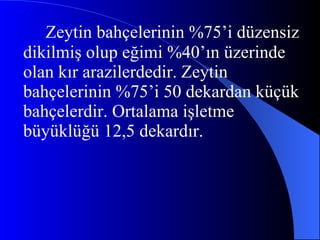 Zeytin bahçelerinin %75’i düzensiz dikilmiş olup eğimi %40’ın üzerinde olan kır arazilerdedir.  Zeytin bahçelerinin %75’i 50 dekardan küçük bahçelerdir. Ortalama işletme büyüklüğü 12,5 dekardır. 