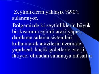 Zeytinliklerin yaklaşık %90’ı sulanmıyor. Bölgemizde ki zeytinliklerin büyük bir kısmının eğimli arazi yapısı, damlama sulama sistemleri kullanılarak arazilerin üzerinde yapılacak küçük göletlerle enerji ihtiyacı olmadan sulamaya müsaittir.  