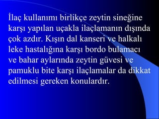 İlaç kullanımı birlikçe zeytin sineğine karşı yapılan uçakla ilaçlamanın dışında çok azdır. Kışın dal kanseri ve halkalı leke hastalığına karşı bordo bulamacı ve bahar aylarında zeytin güvesi ve pamuklu bite karşı ilaçlamalar da dikkat edilmesi gereken konulardır. 