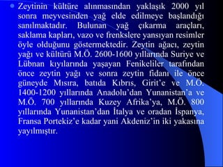 Zeytin in  kültüre alınmasından yaklaşık 2000 yıl sonra meyvesinde n  yağ elde edilmeye başlandığı sanılmaktadır. Bulunan yağ çıkarma araçları, saklama kapları, vazo ve frenkslere yansıyan resimler öyle olduğunu göstermektedir. Zeytin ağacı, zeytin yağı ve kültürü M.Ö. 2600-1600 yıllarında Suriye ve Lübnan kıyılarında yaşayan Fenikeliler tarafından önce zeytin yağı ve sonra zeytin fidanı ile önce güneyde Mısıra, batıda Kıbrıs, G i rit’e ve M.Ö. 1400-1200 yıllarında Anadolu’dan Yunanistan’a ve M.Ö. 700 yıllarında Kuzey Afrika’ya, M.Ö. 800 yıllarında Yunanistan’dan İtalya ve oradan İspanya, Fransa Portekiz’e kadar yani Akdeniz’in iki yakasına yayılmıştır.  