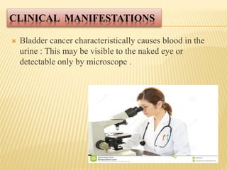 CLINICAL MANIFESTATIONS
 Bladder cancer characteristically causes blood in the
urine : This may be visible to the naked eye or
detectable only by microscope .
 