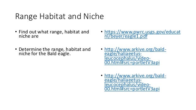 Bald eagle population 2020 picture