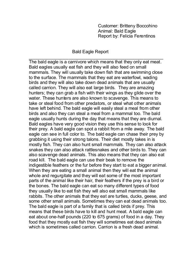 Bald eagle report for mr.godfrey
