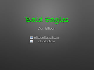 Bald Eagles
Don Ellison
ellisodo@gmail.com
ellisodophoto
 