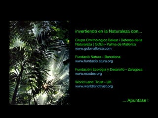 invertiendo en la Naturaleza con...
Grupo Ornithologico Balear i Defensa de la
Naturaleza ( GOB) - Palma de Mallorca
www.gobmallorca.com
Fundació Natura - Barcelona
www.fundacio atura.org
Fundación Ecologia y Desarollo - Zaragoza
www.ecodes.org
World Land Trust - UK
www.worldlandtrust.org
... Apuntase !
 