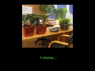 Y oficinas ...
 