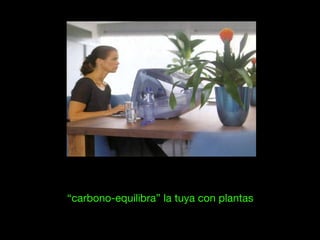 “carbono-equilibra” la tuya con plantas
 