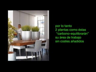 por lo tanto
2 plantas como éstas
“carbono-equilibrarán”
su área de trabajo
sin costes añadidos
 