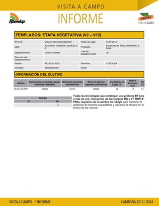 TEMPLADOS: ETAPA VEGETATIVA (V2 – V12)
RTV/AA: OSCAR DE GOYCOECHEA Fecha de visita: 31/01/2014
CDS:
ACEITERA GENERAL DEHEZA S
A
Productor:
BALDONCINI ARIEL, MARIANO E
IVAN
Establecimiento: CAMPO AIMAR
Lote del
Establecimiento:
29
Dirección del
Establecimiento:
Partido: RIO SEGUNDO Provincia: CORDOBA
Contacto: ariel baldoncini Email:
INFORMACIÓN DEL CULTIVO
Híbrido
Densidad recomendada según
ambiente (Dekalb®)
Densidad sembrada
(semillas/ha)
Stand de plantas
logradas (plantas/ha)
Coeficiente de
Logro (%)
Desvío
Estándar
(cm)
CV
(%)
DK72-10VT3P 65000 55172 50599 92 11 31
Refugio
Si No
X
Todas las tecnologías que contengan una proteína BT (una
o más de una, incluyendo las tecnologías MG y VT TRIPLE
para mantener laPRO), requieren de la siembra de refugio
población de insectos susceptibles y preservar la eficacia en el
control de los mismos.
 