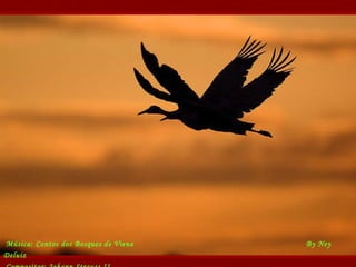 Música:  Contos dos  B osques de Viena     By Ney Deluiz Compositor:  Johann Straus s II     Use o mouse 