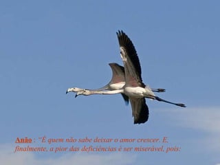 Anão  :  “É quem não sabe deixar o amor crescer. E, finalmente, a pior das deficiências é ser miserável, pois: 