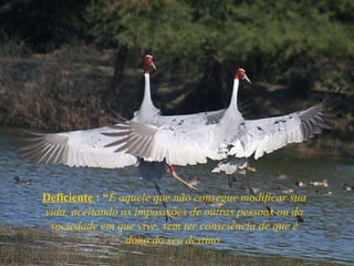 Deficiente  : “ É aquele que não consegue modificar sua vida, aceitando as imposições de outras pessoas ou da sociedade em que vive, sem ter consciência de que é dono do seu destino. 
