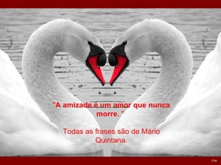Fim " A amizade é um amor que nunca morre.  "   Todas as frases são de Mário Quintana. 