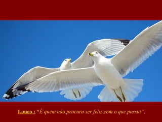 Louco :  “ É quem não procura ser feliz com o que possui”. 
