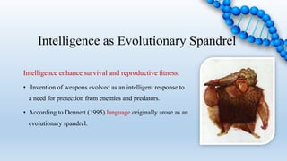 Intelligence as Evolutionary Spandrel
Intelligence enhance survival and reproductive ﬁtness.
• Invention of weapons evolved as an intelligent response to
a need for protection from enemies and predators.
• According to Dennett (1995) language originally arose as an
evolutionary spandrel.
 