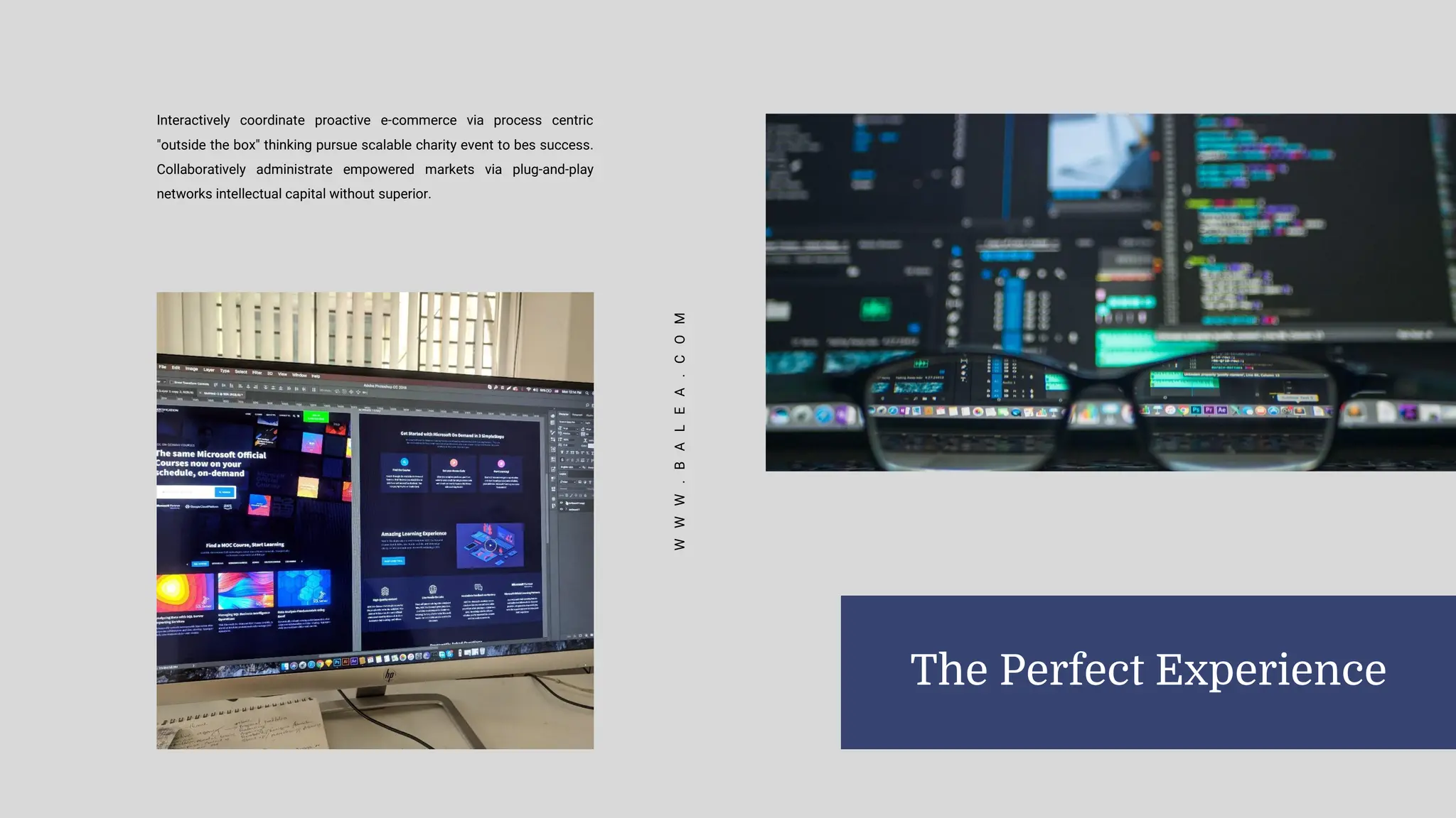 W
W
W
.
B
A
L
E
A
.
C
O
M
Interactively coordinate proactive e-commerce via process centric
"outside the box" thinking pursue scalable charity event to bes success.
Collaboratively administrate empowered markets via plug-and-play
networks intellectual capital without superior.
The Perfect Experience
 