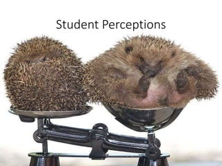 Student Perceptions
 
