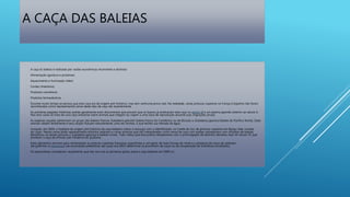 A CAÇA DAS BALEIAS
 A caça às baleias é realizada por razões econômicas recorrentes e distintas:
 Alimentação (gordura e proteínas)
 Aquecimento e iluminação (óleo)
 Cordas (intestinos)
 Produtos cosméticos
 Produtos farmacêuticos
 Durante muito tempo se pensou que esta caça era de origem pré-histórica, mas sem nenhuma prova real. Na realidade, várias pinturas rupestres na França e Espanha não foram
reconhecidas como representando cenas deste tipo de caça até recentemente.
 As primeiras pegadas históricas aceitas geralmente eram documentos que provam que os bascos já praticavam esta caça no século XI e um poema japonês anterior ao século X.
Nos dois casos se trata de uma caça industrial sobre animais que chegam ou viajam a uma zona de reprodução durante suas migrações anuais.
 As espécies caçadas pertenciam ao grupo das baleias-francas Eubalaena glacialis (baleia-franca do Cantábrico ou de Biscaia) e Eubalaena japonica (baleia do Pacífico Norte). Estes
animais nadam lentamente e seus corpos flutuam naturalmente, uma vez mortos, o que facilita sua retirada da água.
 Contudo, em 2004, a hipótese da origem pré-histórica da caça baleeira voltou a ressurgir com a identificação, na Coréia do Sul, de pinturas rupestres em Bangu-Dae, na baía
do Ulsan. Nestas cenas estão representados distintos cetáceos e várias pinturas que são interpretadas como cenas de caça com arpões sobrepostos com silhuetas de baleias.
Identificou-se nestas pinturas a Eubalaena japonica e baleias-cinzas. Tudo indica que esta prática desapareceu com a promulgação de distintos decretos reais do século VI, que
proibiam a caça de animais sob influência do Budismo.
 Estes elementos serviram para reinterpretar as pinturas rupestres francesas, espanholas e, em geral, de toda Europa do norte e a presença de ossos de cetáceos
(de golfinhos e marsuínos) nas escavações paleolíticas das quais era difícil determinar se provinham de caças ou da recuperação de indivíduos encalhados.
 Os especialistas consideram, atualmente, que isto nos traz as primeiras pistas sobre a caça baleeira em 5000 a.C.
 