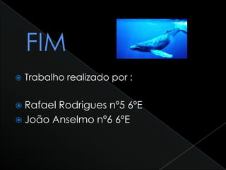  Trabalho realizado por :
 Rafael Rodrigues nº5 6ºE
 João Anselmo nº6 6ºE
 