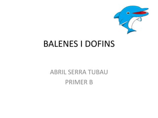 BALENES I DOFINS
ABRIL SERRA TUBAU
PRIMER B
 