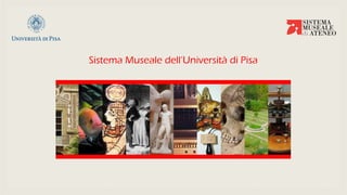Sistema Museale dell’Università di Pisa
 