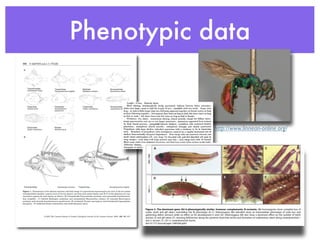 Phenotypic data
http://www.linnean-online.org/
and a cytoplasmic terminal death domain essential for protein
interactions ...