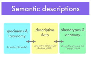 Semantic descriptions
specimens &
taxonomy
DarwinCore (Darwin-SW)
descriptive
data
Comparative Data Analysis
Ontology (CDA...