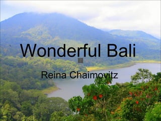 Wonderful Bali  Reina Chaimovitz   