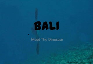 BALI•
Meet The Dinosaur
PHOTO FROM wikimedia.org
 