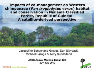 Impacts of co-management on Western
chimpanzee (Pan troglodytes verus) habitat
and conservation in Nialama Classified
Forest, Republic of Guinea:
A satellite-derived perspective

Jacqueline Sunderland-Groves, Dan Slayback,
Michael Balinga & Terry Sunderland
ATBC Annual Meeting, Sanur, Bali
22nd July 2010
THINKING beyond the canopy

 