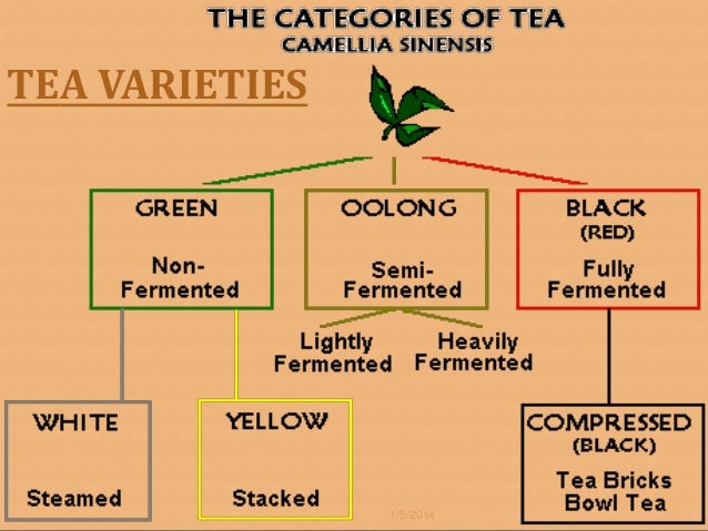 different types of coffee