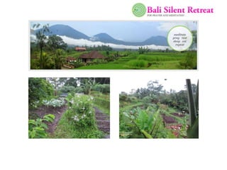 Bali Silent Retreat Food