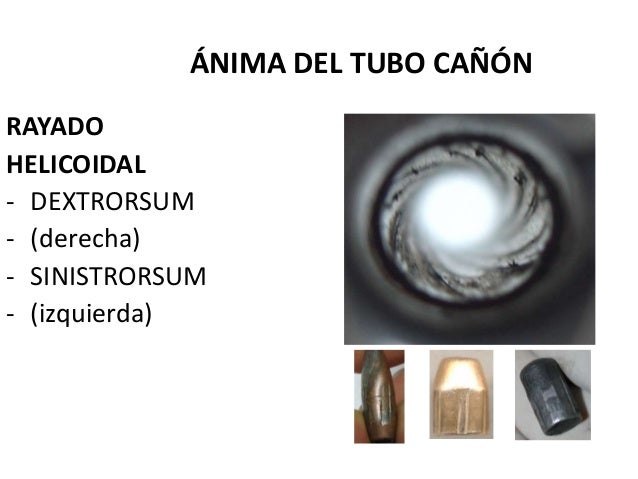 Balistica forense