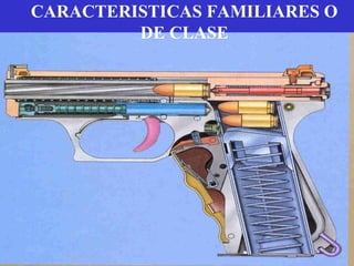 CARACTERISTICAS FAMILIARES O
DE CLASE
 
