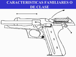 CARACTERISTICAS FAMILIARES O
DE CLASE
 